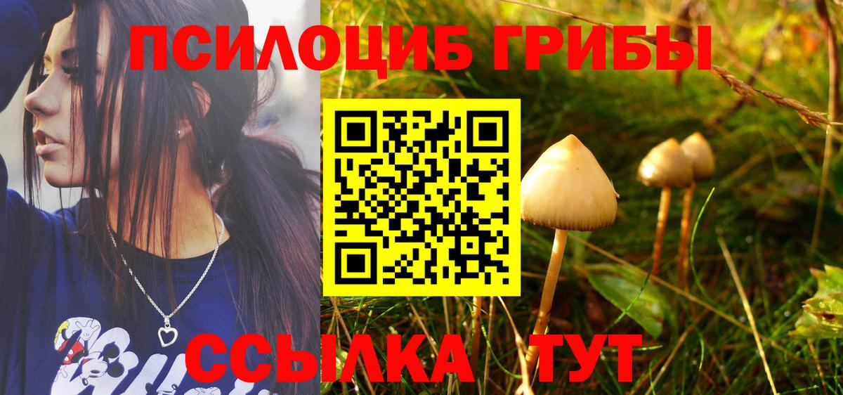 Тольятти  Псилоцибиновые грибы прущие грибы  Вход с VPN 