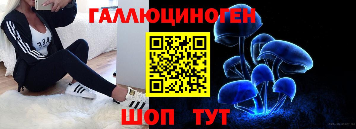 Псилоцибиновые грибы мицелий Тольятти